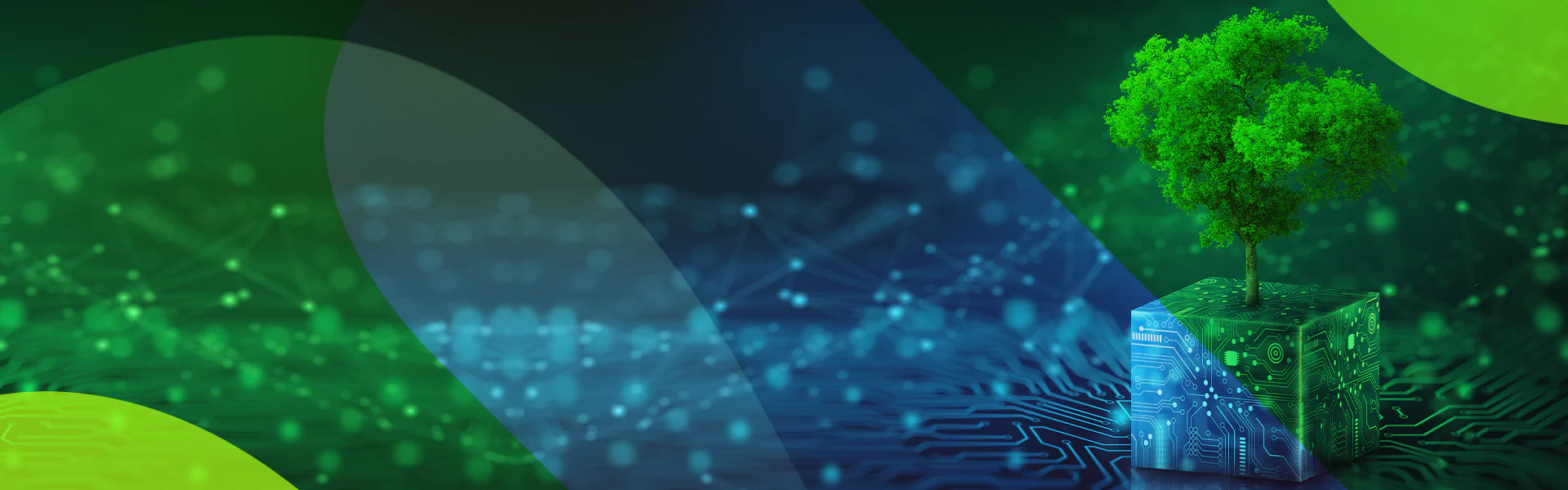 Sustentabilidade e Blockchain