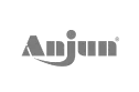 logo-anjun